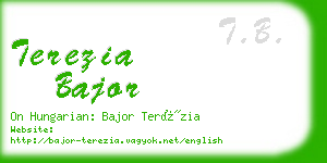 terezia bajor business card